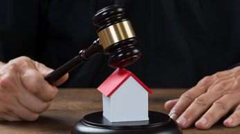 Vi Bằng Nhà đất